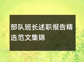 部隊(duì)班長述職報告精選范文集錦