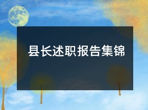 縣長述職報告集錦