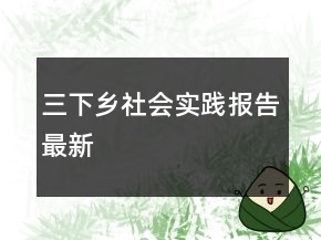三下鄉(xiāng)社會實踐報告最新
