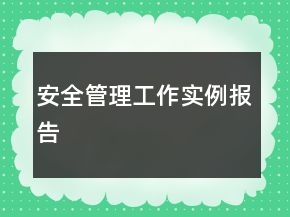 安全管理工作實(shí)例報(bào)告