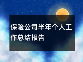 保險公司半年個人工作總結(jié)報告