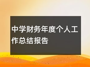 中學(xué)財(cái)務(wù)年度個(gè)人工作總結(jié)報(bào)告
