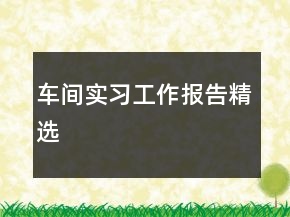 車間實(shí)習(xí)工作報(bào)告精選