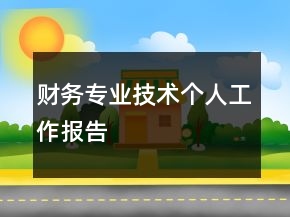 財(cái)務(wù)專業(yè)技術(shù)個(gè)人工作報(bào)告