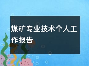 煤礦專業(yè)技術(shù)個(gè)人工作報(bào)告