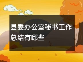 縣委辦公室秘書工作總結有哪些
