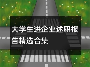 大學生進企業(yè)述職報告精選合集