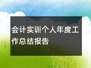 會(huì)計(jì)實(shí)訓(xùn)個(gè)人年度工作總結(jié)報(bào)告