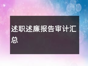 述職述廉報告審計匯總