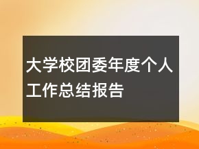 大學(xué)校團(tuán)委年度個人工作總結(jié)報告