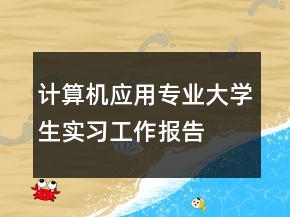 計(jì)算機(jī)應(yīng)用專(zhuān)業(yè)大學(xué)生實(shí)習(xí)工作報(bào)告