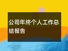 公司年終個人工作總結(jié)報告