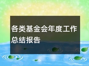 各類基金會年度工作總結(jié)報告