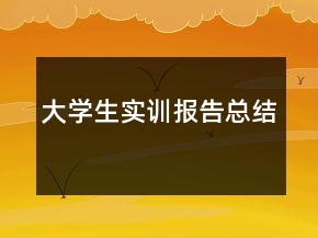大學(xué)生實(shí)訓(xùn)報(bào)告總結(jié)
