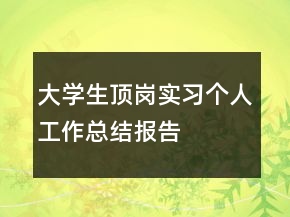 大學(xué)生頂崗實習(xí)個人工作總結(jié)報告
