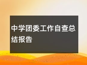 中學(xué)團(tuán)委工作自查總結(jié)報告