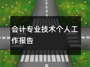 會計專業(yè)技術(shù)個人工作報告