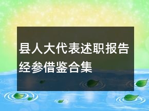 縣人大代表述職報(bào)告經(jīng)參借鑒合集