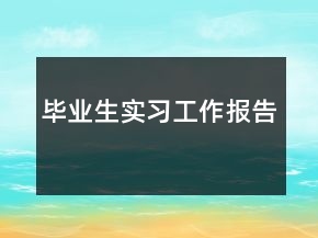 畢業(yè)生實習工作報告