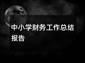 中小學(xué)財(cái)務(wù)工作總結(jié)報(bào)告