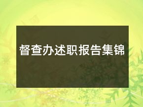 督查辦述職報告集錦