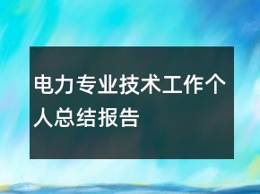 電力專業(yè)技術(shù)工作個(gè)人總結(jié)報(bào)告