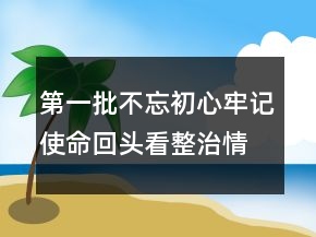 第一批不忘初心牢記使命回頭看整治情況報告