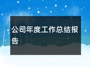 公司年度工作總結(jié)報(bào)告