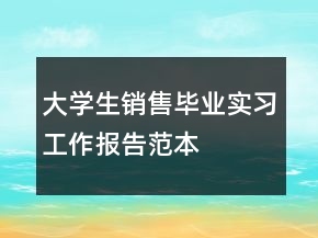 大學(xué)生銷售畢業(yè)實(shí)習(xí)工作報(bào)告范本