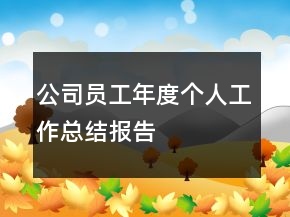 公司員工年度個(gè)人工作總結(jié)報(bào)告
