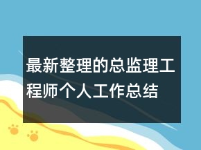 最新整理的總監(jiān)理工程師個(gè)人工作總結(jié)范文