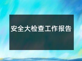 安全大檢查工作報告
