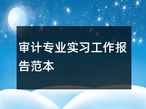 審計(jì)專(zhuān)業(yè)實(shí)習(xí)工作報(bào)告范本