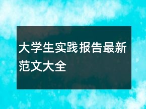 大學(xué)生實(shí)踐報(bào)告最新范文大全