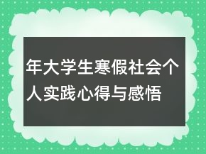 年大學生寒假社會個人實踐心得與感悟