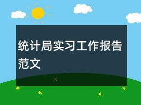 統(tǒng)計局實習(xí)工作報告范文