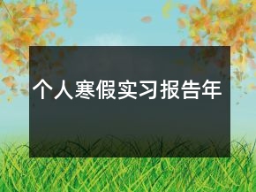 個(gè)人寒假實(shí)習(xí)報(bào)告年