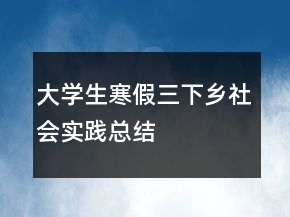 大學(xué)生寒假三下鄉(xiāng)社會(huì)實(shí)踐總結(jié)