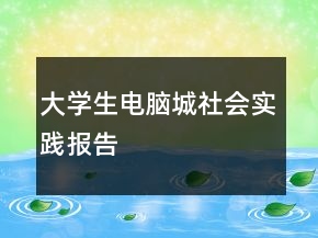 大學生電腦城社會實踐報告