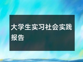 大學(xué)生實(shí)習(xí)社會(huì)實(shí)踐報(bào)告