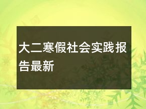 大二寒假社會(huì)實(shí)踐報(bào)告最新