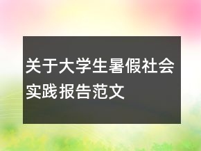 關(guān)于大學(xué)生暑假社會實(shí)踐報(bào)告范文