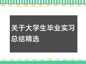 關(guān)于大學(xué)生畢業(yè)實(shí)習(xí)總結(jié)精選
