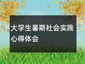 大學(xué)生暑期社會實(shí)踐心得體會