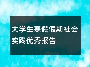 大學(xué)生寒假假期社會實(shí)踐優(yōu)秀報(bào)告