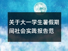 關(guān)于大一學(xué)生暑假期間社會實(shí)踐報(bào)告范文大全