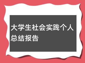 大學生社會實踐個人總結報告