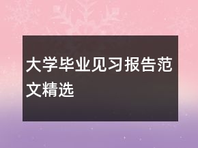 大學(xué)畢業(yè)見習(xí)報告范文精選