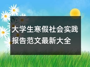 大學(xué)生寒假社會(huì)實(shí)踐報(bào)告范文最新大全