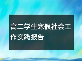 高二學生寒假社會工作實踐報告